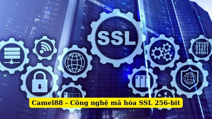 Camel88 - Công nghệ mã hóa SSL 256-bit